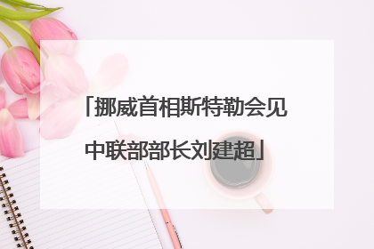 挪威首相斯特勒会见中联部部长刘建超