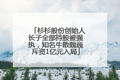 杉杉股份创始人长子全部持股被强执，知名牛散魏巍斥资1亿元入局