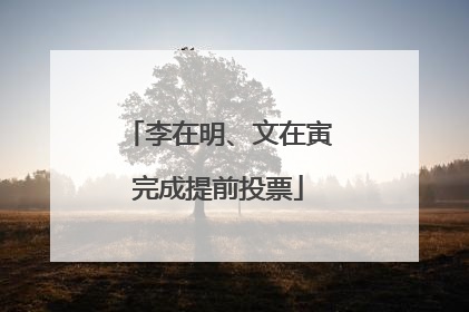 李在明、文在寅完成提前投票