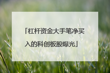 杠杆资金大手笔净买入的科创板股曝光
