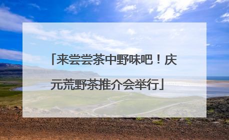 来尝尝茶中野味吧！庆元荒野茶推介会举行