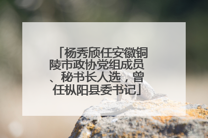 杨秀颀任安徽铜陵市政协党组成员、秘书长人选，曾任枞阳县委书记