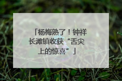 杨梅熟了！钟祥长滩镇收获“舌尖上的惊喜”
