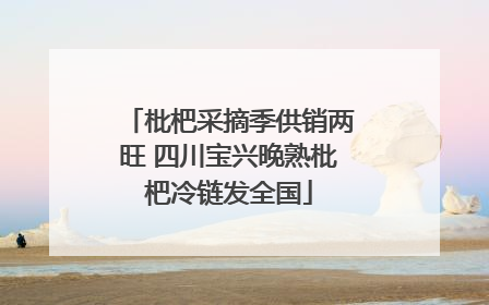 枇杷采摘季供销两旺 四川宝兴晚熟枇杷冷链发全国
