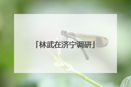 林武在济宁调研