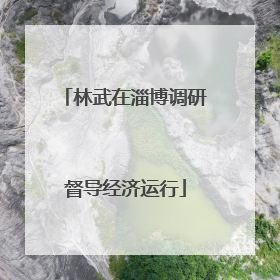 林武在淄博调研督导经济运行