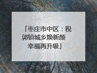 枣庄市中区：税郭镇城乡焕新颜 幸福再升级