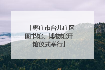 枣庄市台儿庄区图书馆、博物馆开馆仪式举行