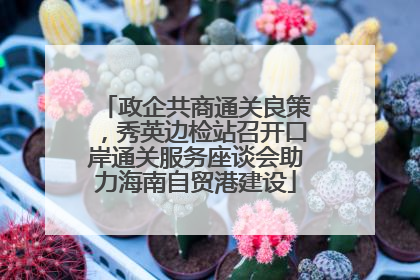 政企共商通关良策，秀英边检站召开口岸通关服务座谈会助力海南自贸港建设