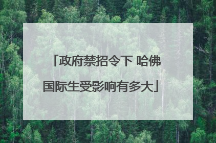 政府禁招令下 哈佛国际生受影响有多大