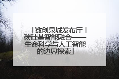 数创泉城发布厅丨碳硅基智能融合——生命科学与人工智能的边界探索