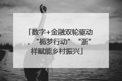 数字+金融双轮驱动，“栀梦行动”“浙”样赋能乡村振兴