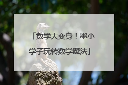 数学大变身！墨小学子玩转数学魔法