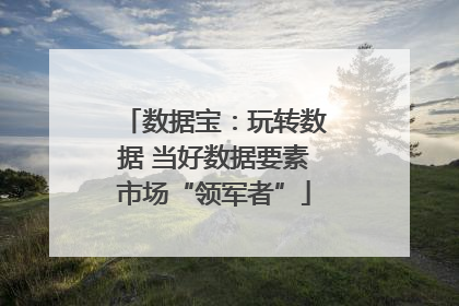 数据宝：玩转数据 当好数据要素市场“领军者”