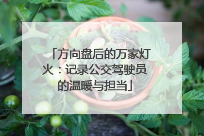 方向盘后的万家灯火：记录公交驾驶员的温暖与担当