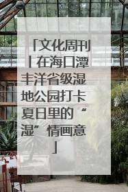文化周刊丨在海口潭丰洋省级湿地公园打卡夏日里的“湿”情画意