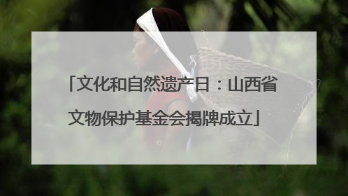 文化和自然遗产日：山西省文物保护基金会揭牌成立