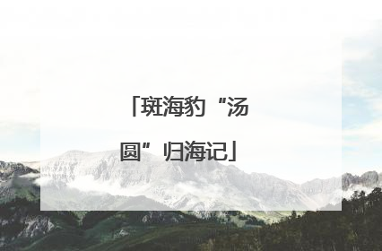 斑海豹“汤圆”归海记