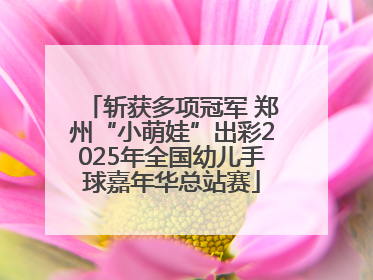 斩获多项冠军 郑州“小萌娃”出彩2025年全国幼儿手球嘉年华总站赛