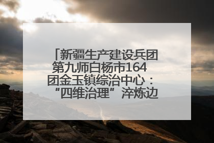 新疆生产建设兵团第九师白杨市164团金玉镇综治中心：“四维治理”淬炼边疆“枫桥样本”