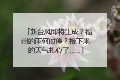 新台风即将生成？福州的雨何时停？接下来的天气扎心了……