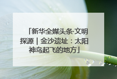 新华全媒头条·文明探源｜金沙遗址：太阳神鸟起飞的地方