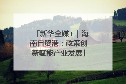 新华全媒+｜海南自贸港：政策创新赋能产业发展