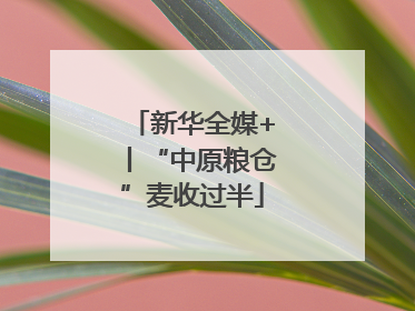 新华全媒+丨“中原粮仓”麦收过半