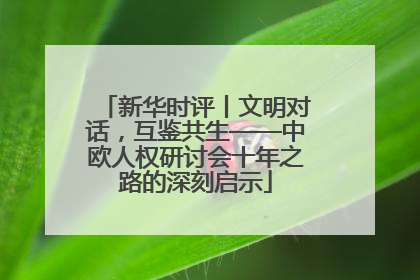 新华时评丨文明对话，互鉴共生——中欧人权研讨会十年之路的深刻启示