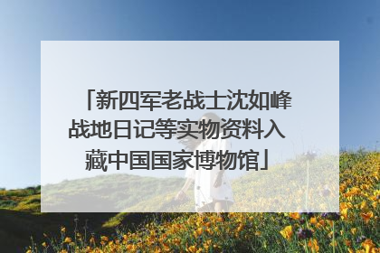 新四军老战士沈如峰战地日记等实物资料入藏中国国家博物馆