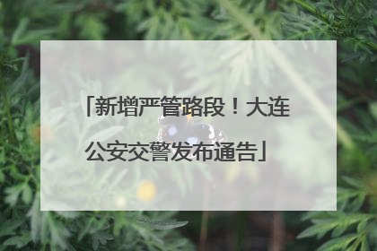 新增严管路段！大连公安交警发布通告