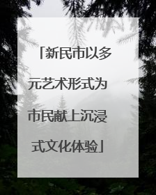 新民市以多元艺术形式为市民献上沉浸式文化体验