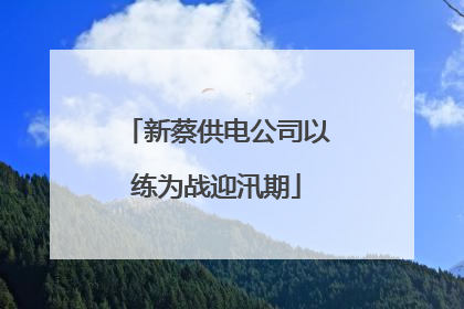 新蔡供电公司以练为战迎汛期