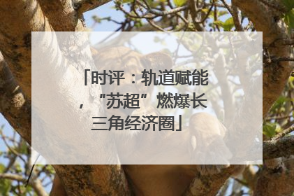 时评：轨道赋能，“苏超”燃爆长三角经济圈