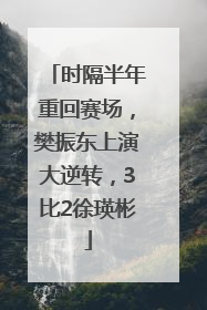 时隔半年重回赛场，樊振东上演大逆转，3比2徐瑛彬