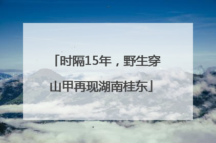 时隔15年，野生穿山甲再现湖南桂东