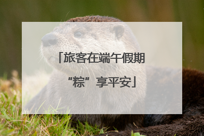 旅客在端午假期“粽”享平安