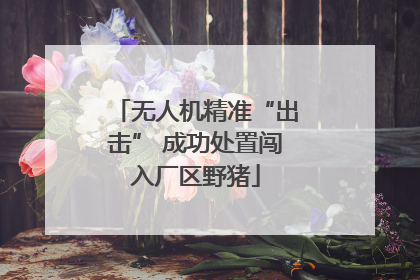 无人机精准“出击” 成功处置闯入厂区野猪