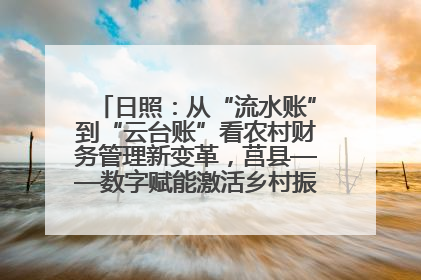 日照：从“流水账”到“云台账”看农村财务管理新变革，莒县——数字赋能激活乡村振兴“一池春水”