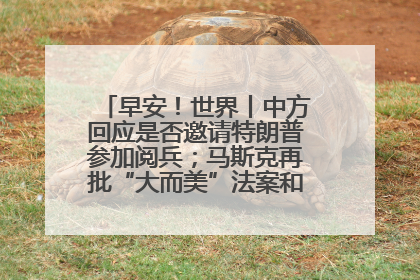 早安！世界丨中方回应是否邀请特朗普参加阅兵；马斯克再批“大而美”法案和美国共和党