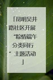 昆明吴井路社区开展“粽情端午 分类同行”主题活动