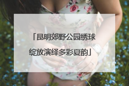 昆明郊野公园绣球绽放演绎多彩夏韵