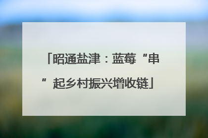 昭通盐津：蓝莓“串”起乡村振兴增收链