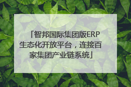 智邦国际集团版ERP生态化开放平台，连接百家集团产业链系统