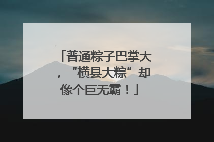普通粽子巴掌大，“横县大粽”却像个巨无霸！