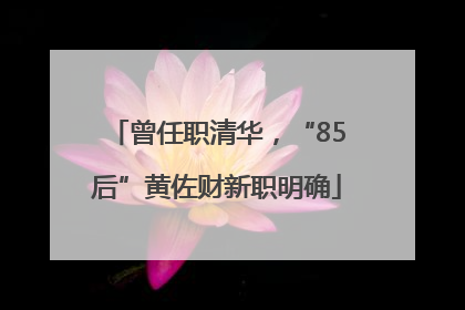 曾任职清华，“85后”黄佐财新职明确