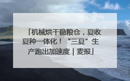 机械烘干稳粮仓，夏收夏种一体化！“三夏”生产跑出加速度｜麦报
