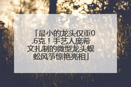 最小的龙头仅重0.6克！手艺人庞希文扎制的微型龙头蜈蚣风筝惊艳亮相