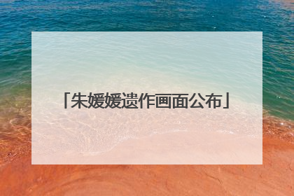 朱媛媛遗作画面公布