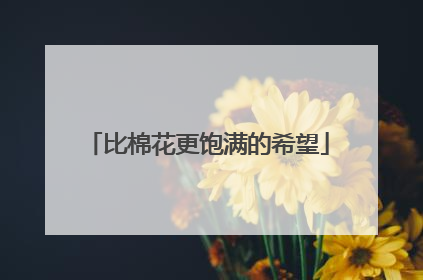 比棉花更饱满的希望